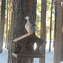 ���� Nika-z, ������-��� - ��������� 22 ������� 2025 � ������ ���� ����������