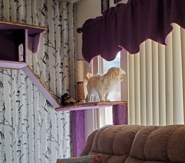  ,     