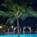 ���� ������, ����� - ��������� 28 ���� 2026 � ������ ���� ����������