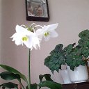 ���� ��� ., �����, 71 ��� - ��������� 2 ������ 2026 � ������ ���� ����������