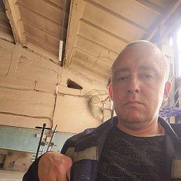 , 40, 