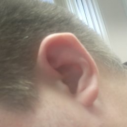 ������, ������, 40 ���