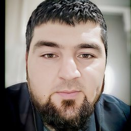 ����, �����-���������, 31 ���