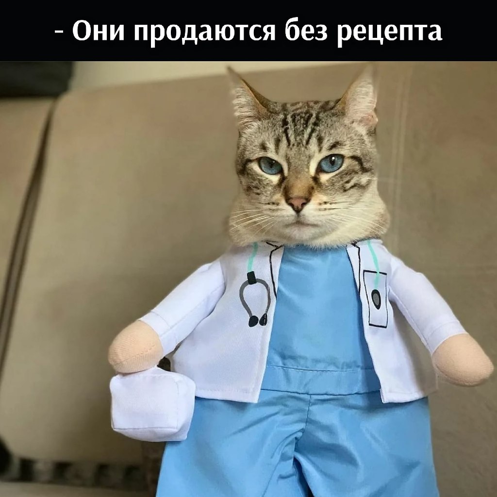 ��� ���� � ����� �� �� - 3 ���� 2026 � 17:02 - 2