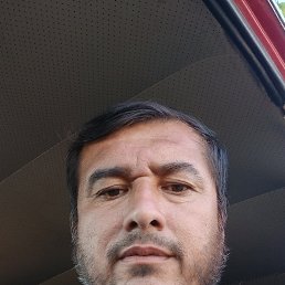 Shavkat, 38, 