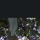 ���� Aslan, ������, 51 ��� - ��������� 11 ������ 2024