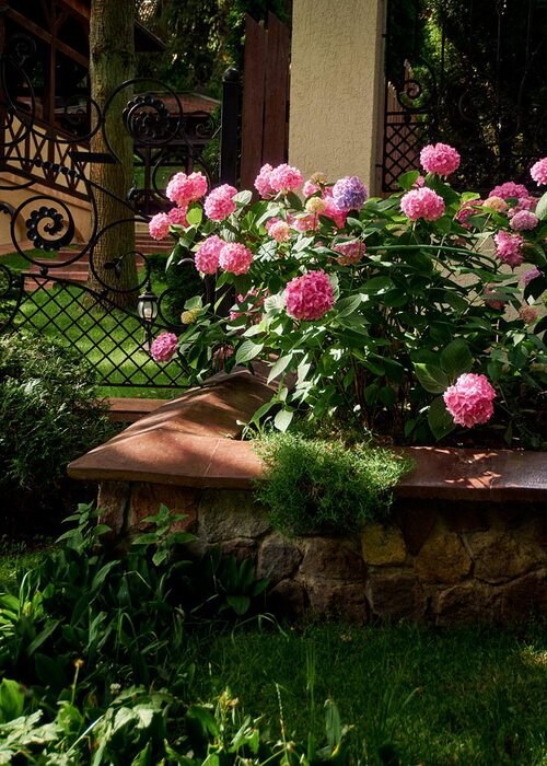   .       .   ,  ... - 2