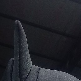 , , 43 