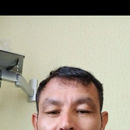 , 44, 