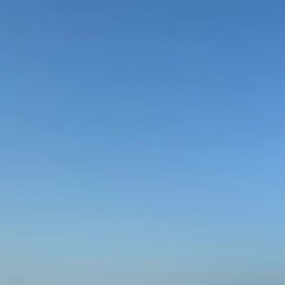 �������, ��������, 44 ����