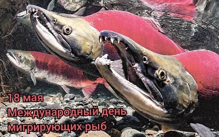 : , , , ,  - 8