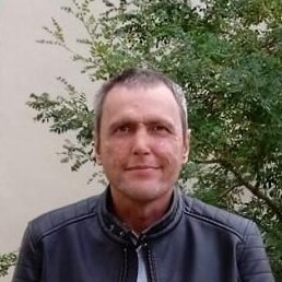 �������, ������, 46 ���