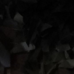 , , 19 