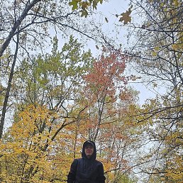 , 41, 