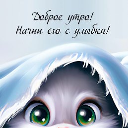 ���� ��������, ������, 43 ���� - ��������� 20 ������ 2024