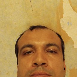 , 32, 