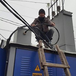 , 59, 