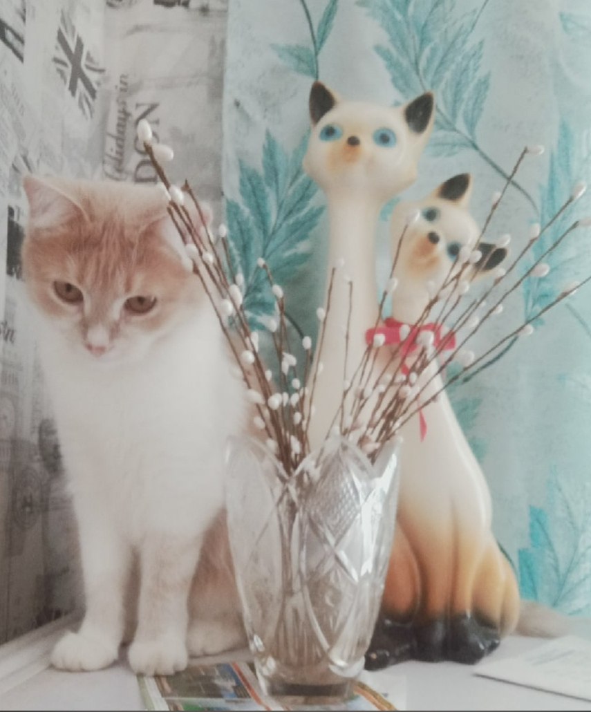 Valia - 14  2025  18:41