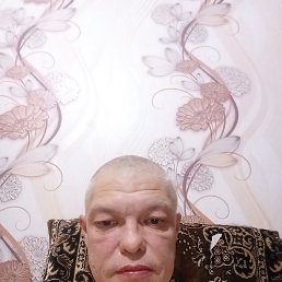 ����������, 44 ����, �����