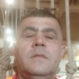 ��������, �����������, 53 ����