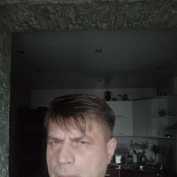 , 53, 