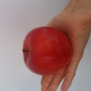 �������, 51 ���, ���������