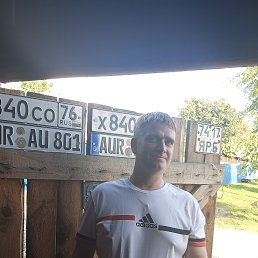  , 37, 