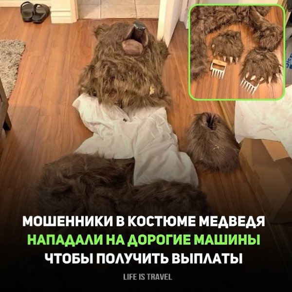 МОШЕННИКИ В КОСТЮМЕ МЕДВЕДЯ НАПАДАЛИ НА ДОРОГИЕ МАШИНЫ, ЧТОБЫ ПОЛУЧИТЬ ВЫПЛАТЫ.В Калифорнии были ...
