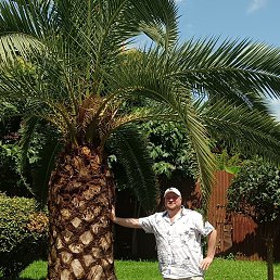 ���� Petr, �������, 36 ��� - ��������� 9 ���� 2026