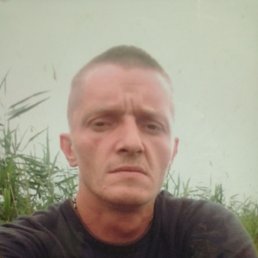 , 37 , 