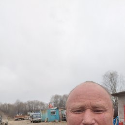 �������, 46 ���, ���������