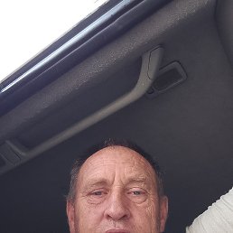 , 54, 