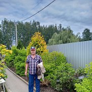 , 64 , 