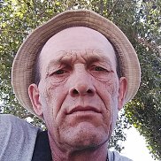 , 53 , 