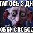 ���� ����, ������, 42 ���� - ��������� 2 ���� 2026