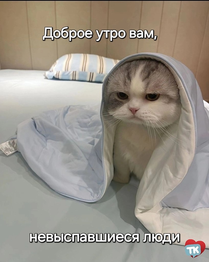  , .    ,     ...