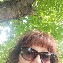 , 65, 