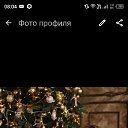 ���� �������, ����, 44 ���� - ��������� 11 ������� 2025 � ������ ���� ����������