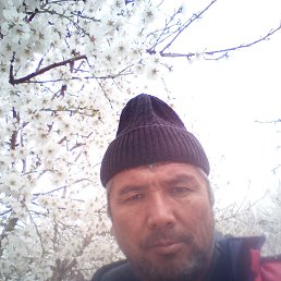 Rustamjon Maxmirzaev, 42 ����, ������