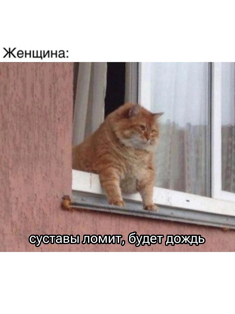 . - 16  2025  11:02 - 2