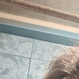 �������, ����, 65 ���