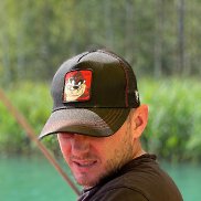 , 37 , 