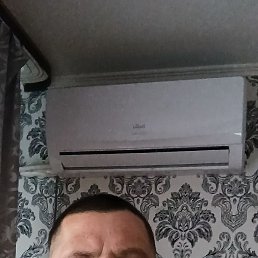 �����, 46 ���, �������