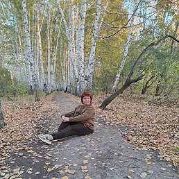 ������, ��������, 41 ���