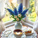 ���� Randar, ������� - ��������� 14 ���� 2026 � ������ ������ ��������