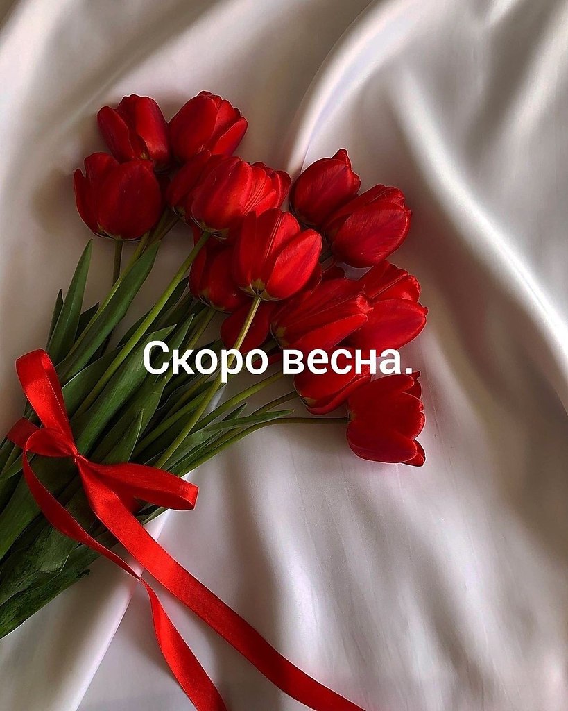 ������������ ������ - 1 ������� 2026 � 18:39