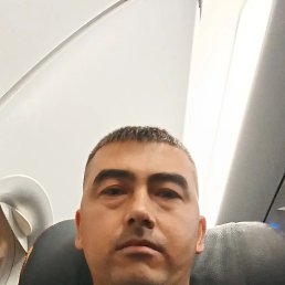 ���� ������, ������������, 33 ���� - ��������� 7 ���� 2026