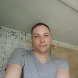 , 37, 