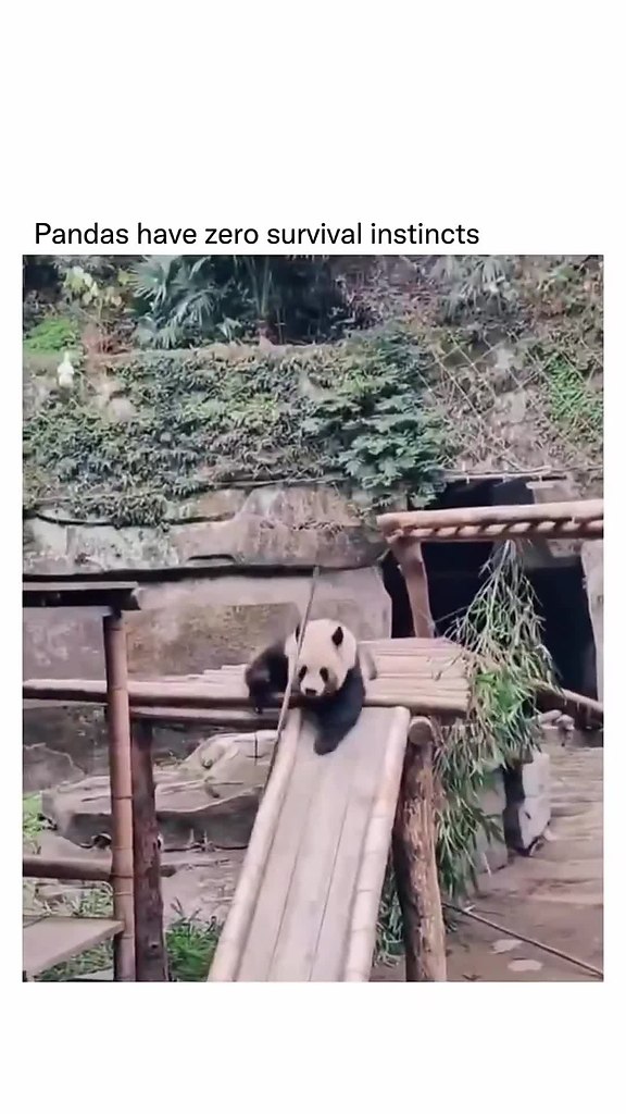 ����� - ��� ������� ��� �������� ��������!! - 2