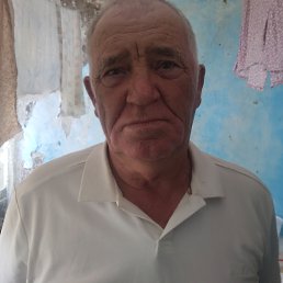 , 66, 